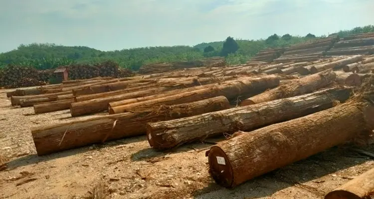 LH Temerloh log yard